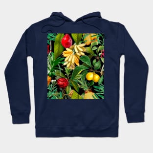 Vibrant tropical floral leaves and fruits floral illustration, botanical pattern, Black fruit pattern over a Hoodie